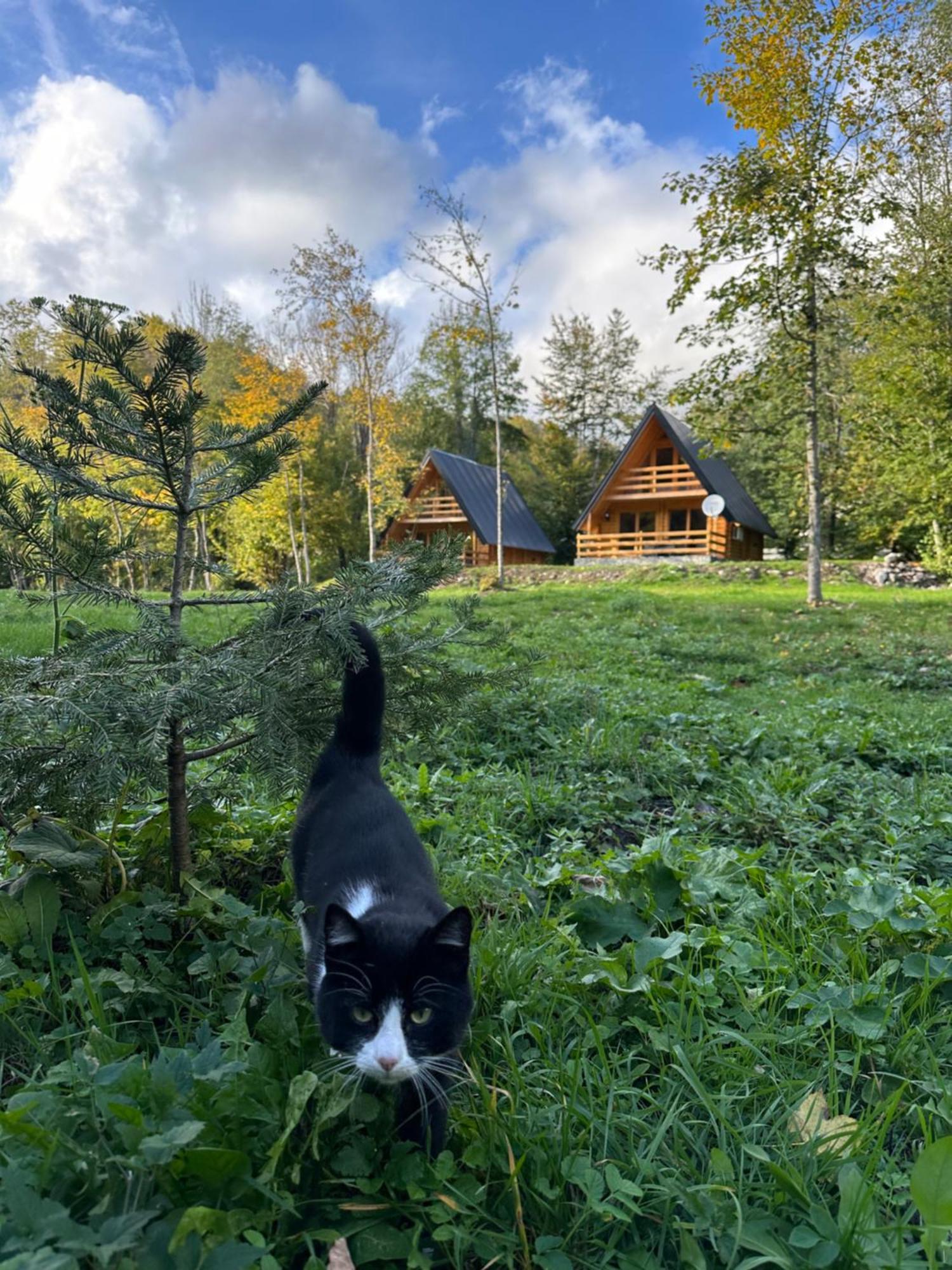 Ethno Village Long Story Kolašin Exteriör bild